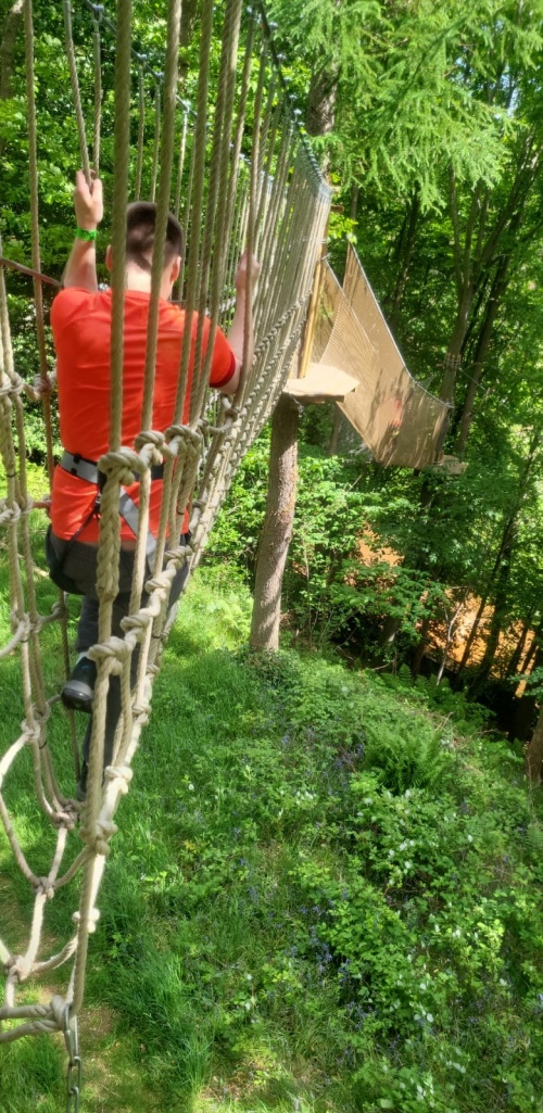 SWINGING FROM THE TREES 